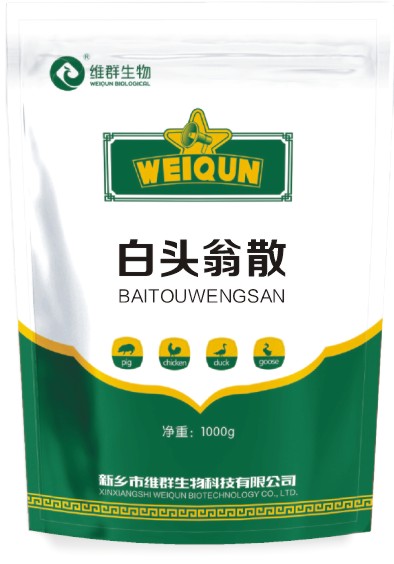 白头翁散